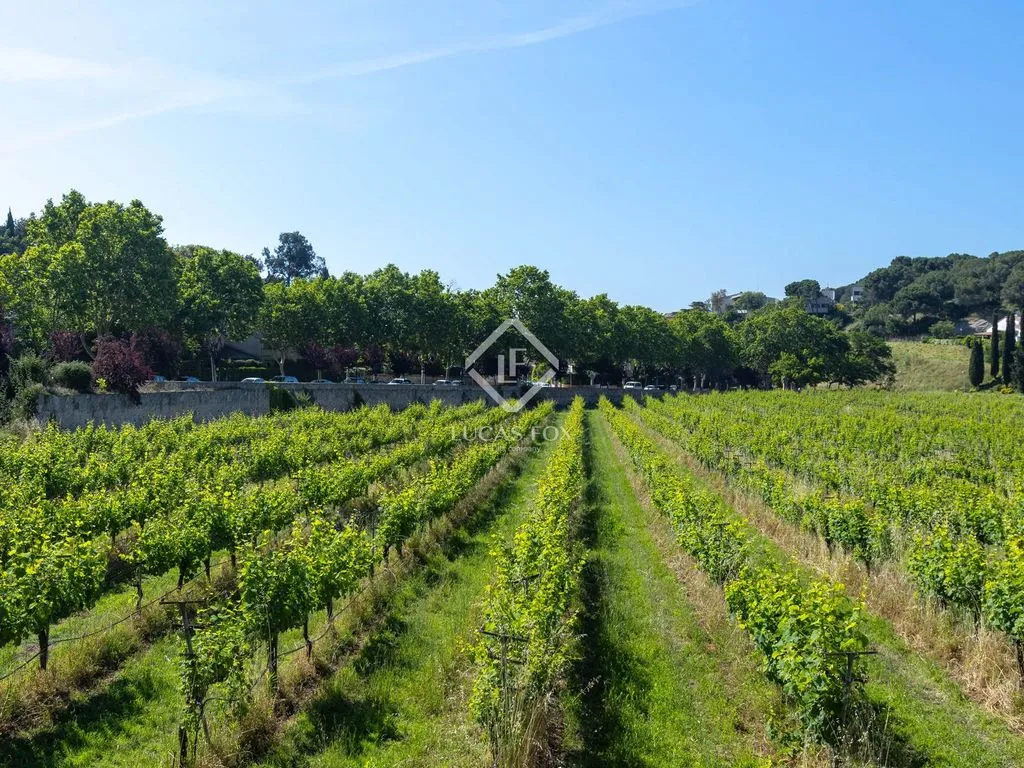 Jardin - Historic Country House with Vineyards in Alella