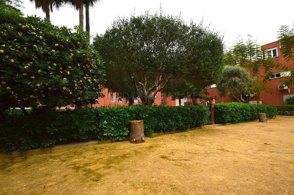Garden - Terraced House with Terrace in El Cano, Sevilla