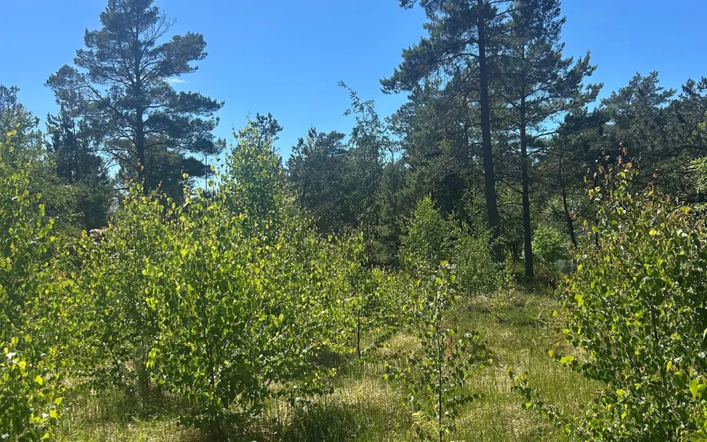 Aed - Vacation Plot with 5G Coverage in Læsø
