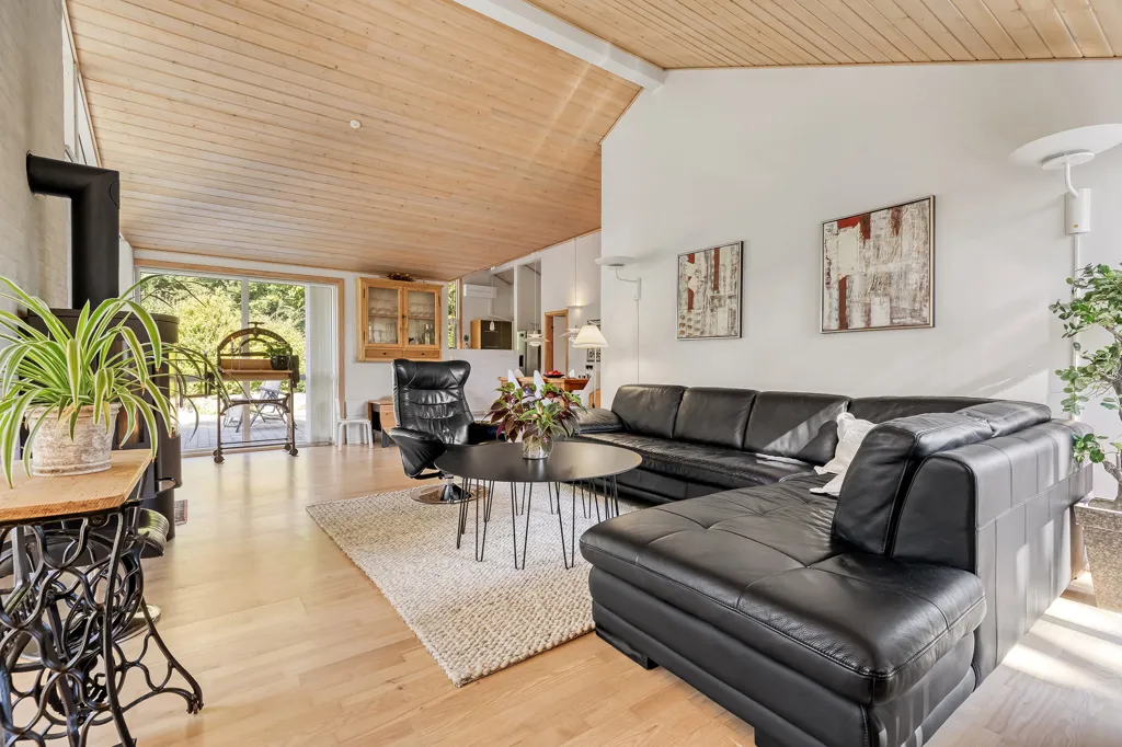 Séjour - Modern Vacation Home with Garden in Rågeleje