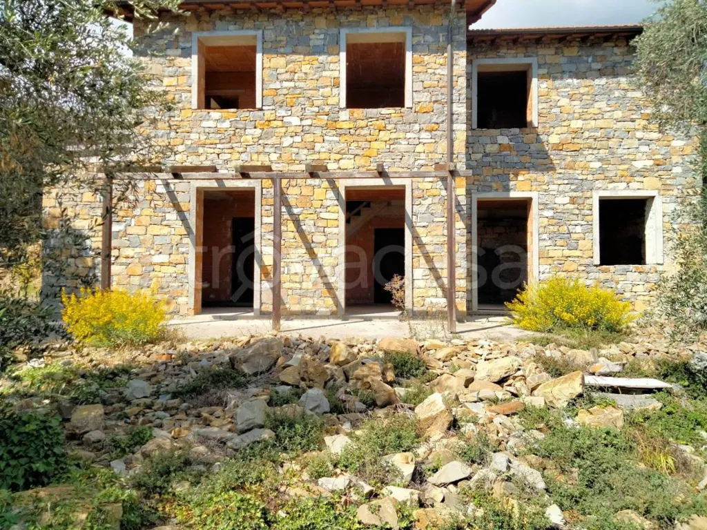 Välivaade - Rustic Villa with Olive Grove in Diano San Pietro