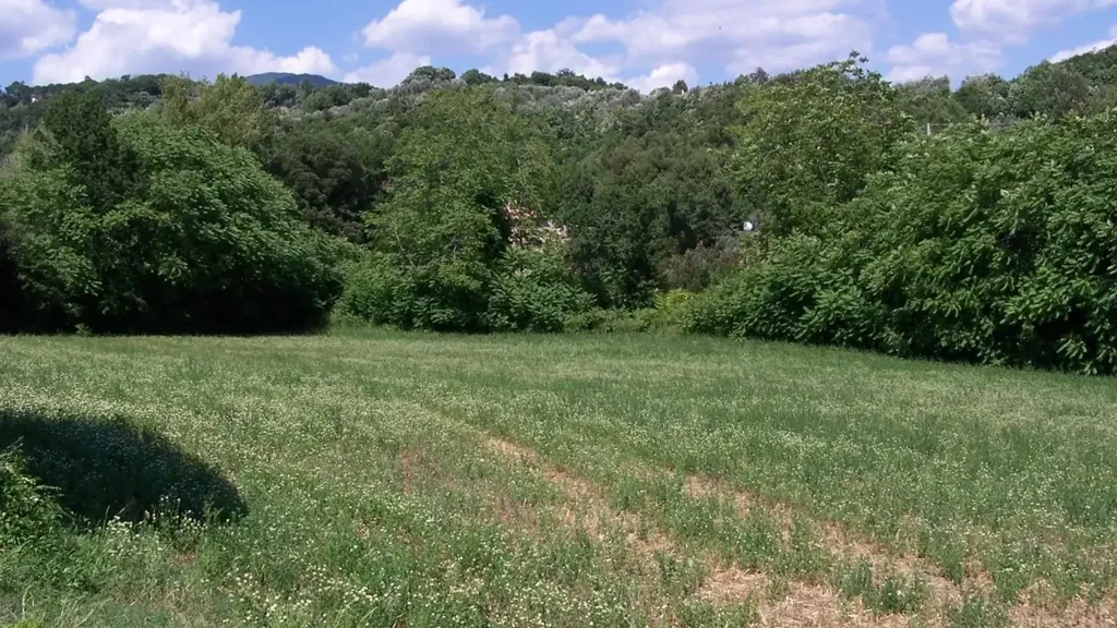 Jardin - Eco-Friendly House in Montemassi, Tuscany