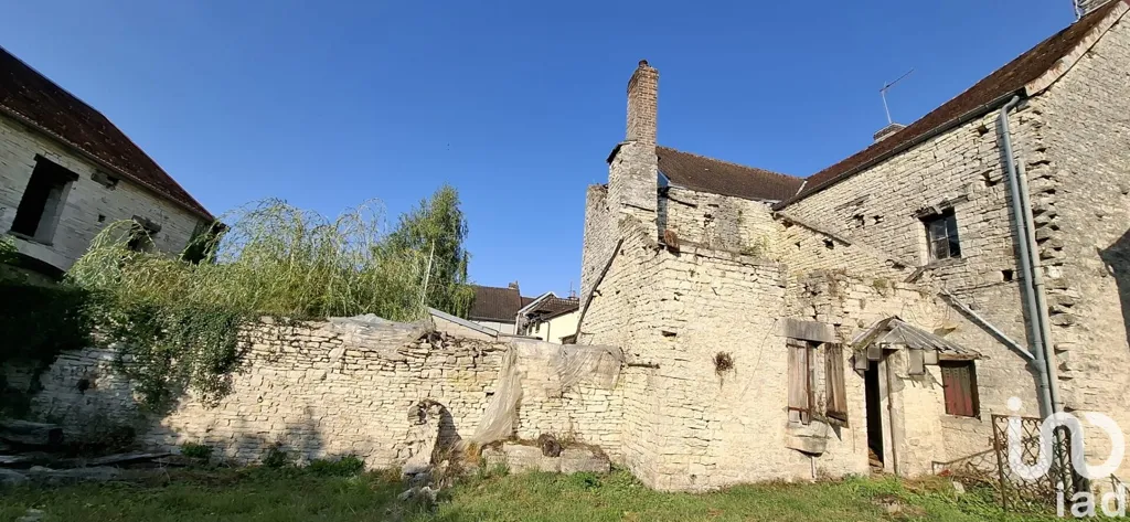 Giardino - Restoration Barn with Garden in Essoyes
