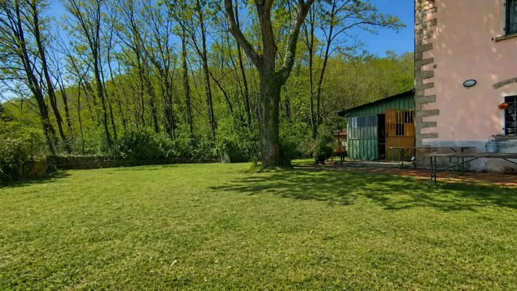 garden