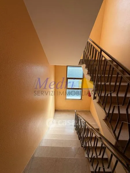 Toad - Spacious Apartment with Balconies in Cesena