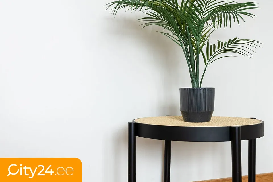 Séjour - Apartment with Storage in Tartu City Centre