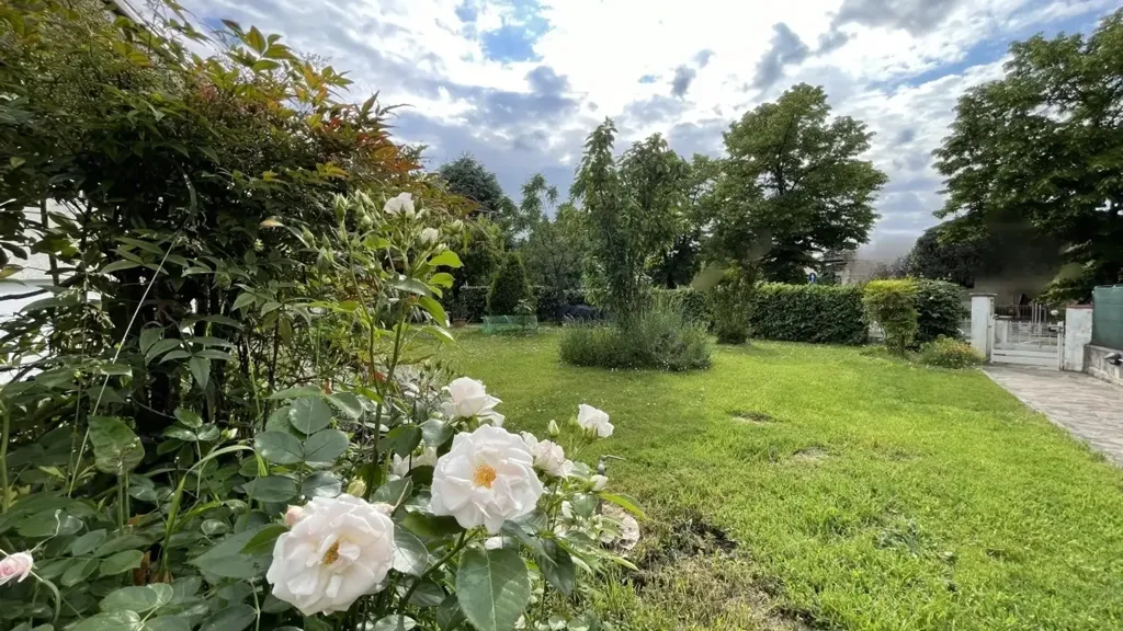 Aed - Villa with Garden in Suzzara