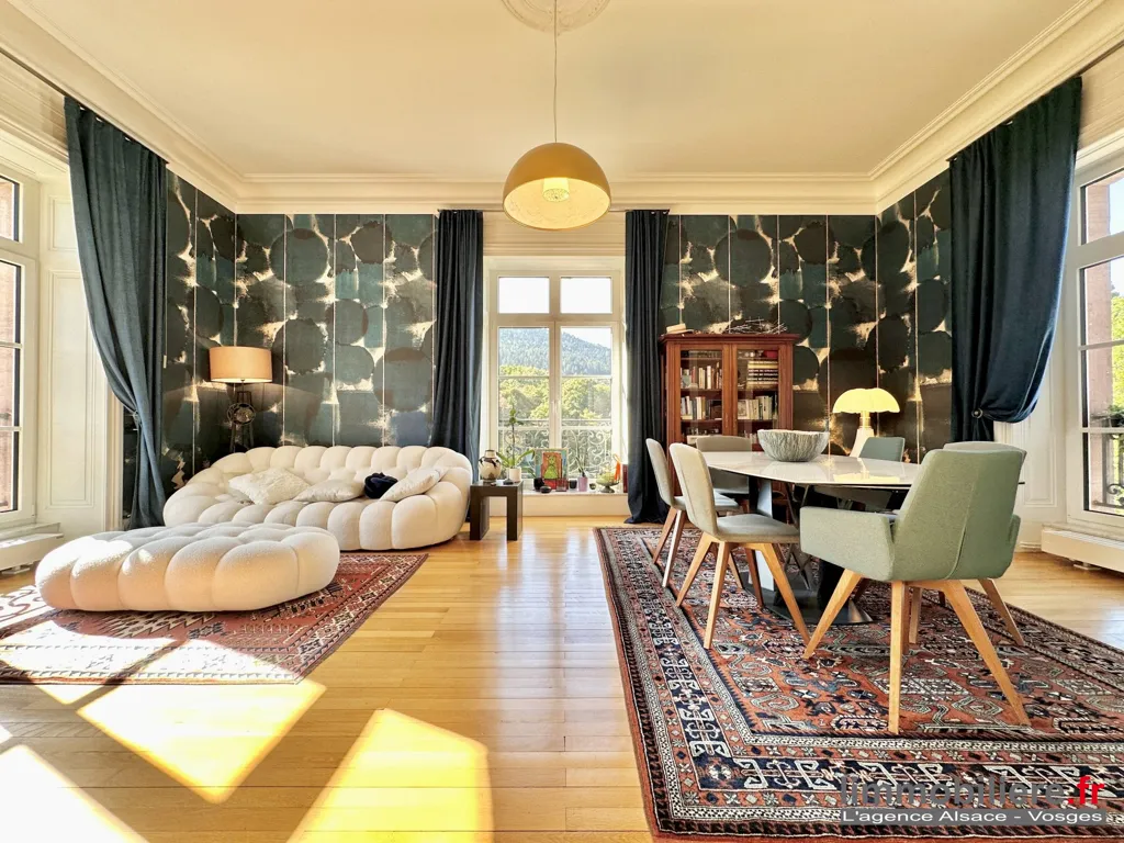 Soggiorno - Luxury Flat with Park Views in Saint-Dié-des-Vosges