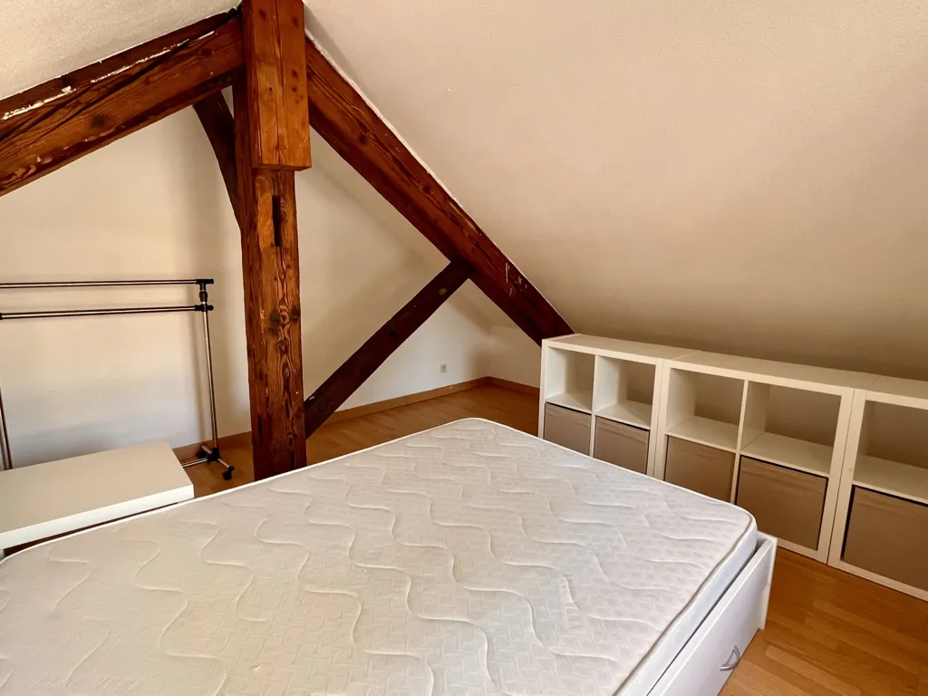 Magamistoad - Duplex Apartment with Terrace in Rives Centre