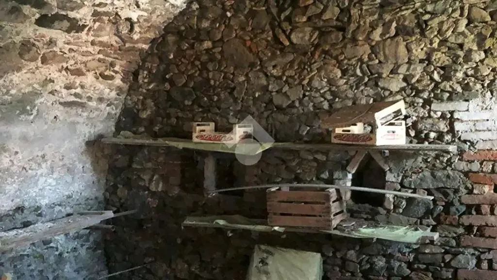 cellar