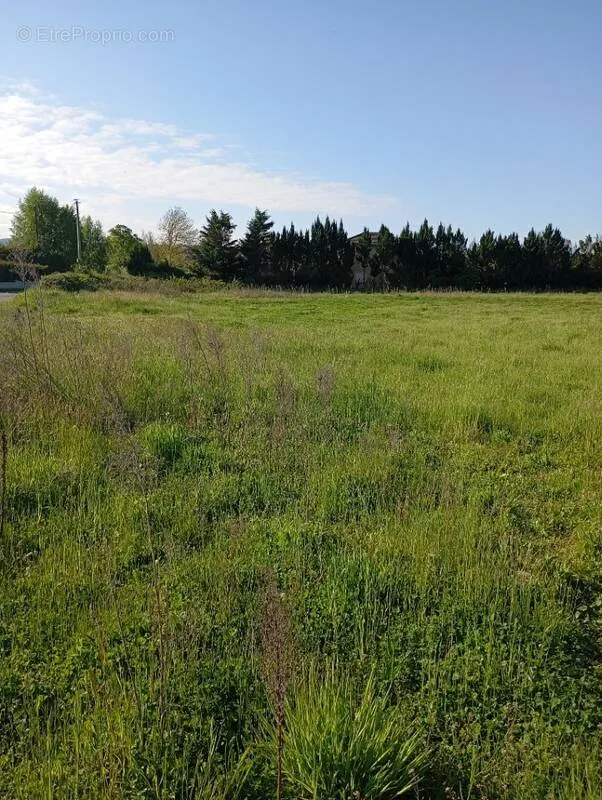 Jardin - Terrain Viabilisé au Calme à Marcilloles