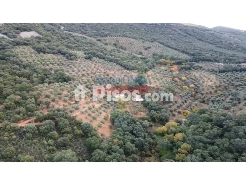 Jardin - Rustic Finca with Water Source in Castañar de Ibor