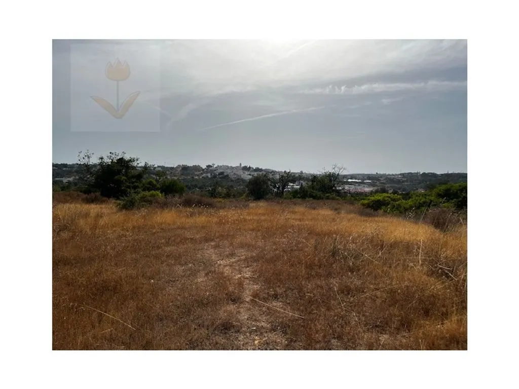 land_plot