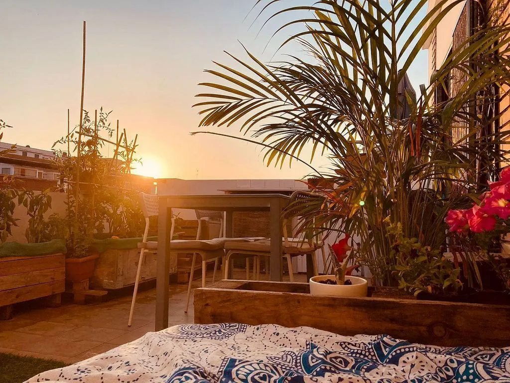 Terrass - Penthouse with Terrace in Morvedre