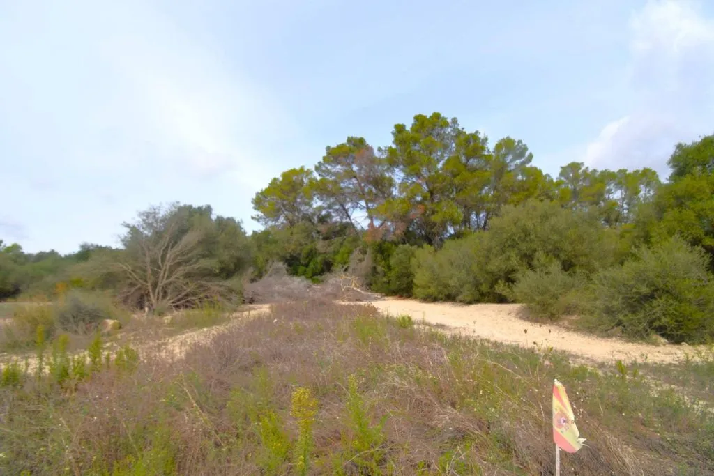 Aed - Rustic Plot with House Project in Muro