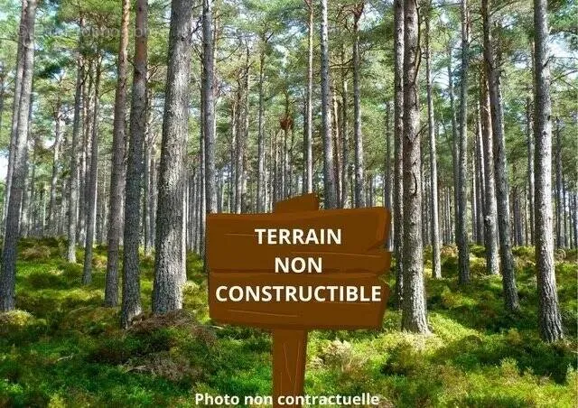 Aed - Non-Constructible Woodland Plot in Saugon