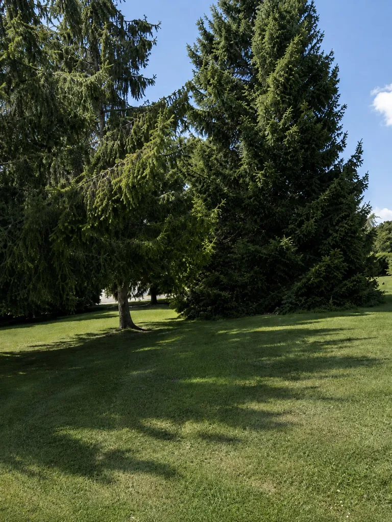 Jardin - Longère de Caractère avec Jardin dans l'Indre