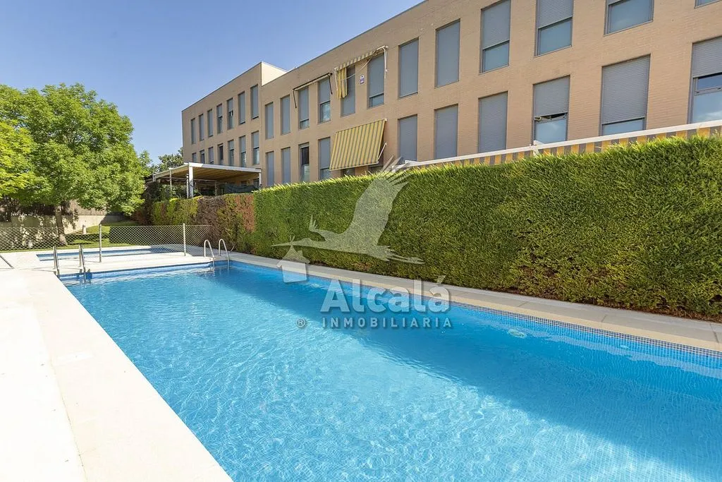 Piscine - 1-Bed Flat with Pool in Los Hueros