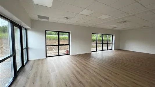 Toad - Warehouse/Office Space in Humlebæk