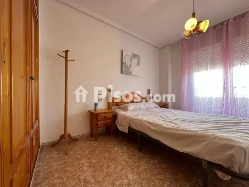 Magamistoad - Modern Flat with Garden in El Carmen