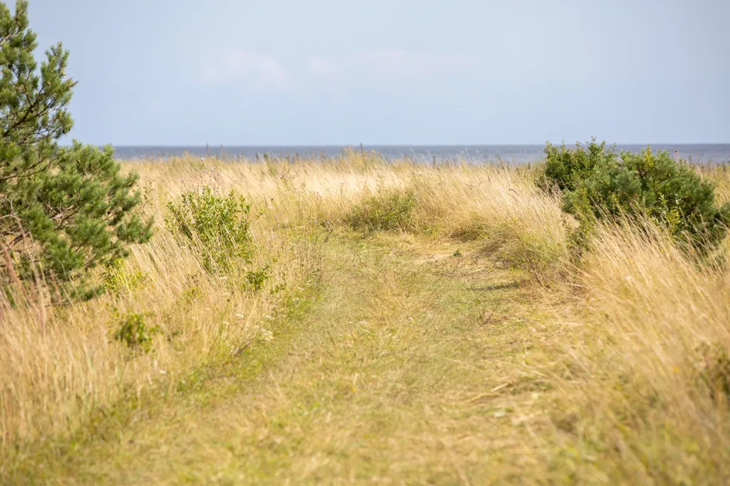 Aed - Plot with Sea View in Boge Friggars
