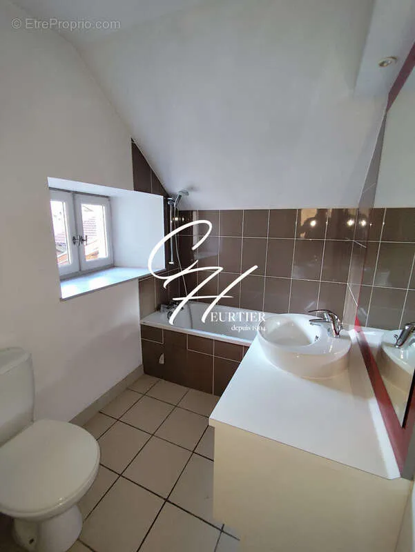 Vannitoad - Duplex Apartment in Grenoble's Historic Centre