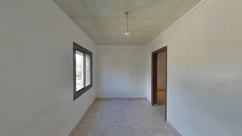 Toad - Functional Flat with Tour in Barcelona