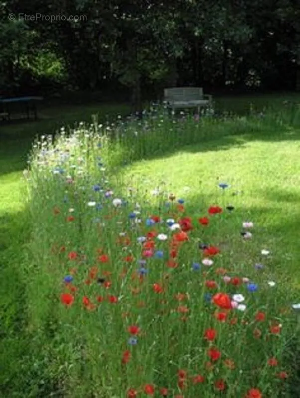 Aed - Buildable Plot with Garden in Chinon