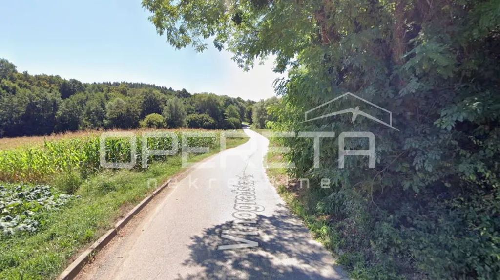 Garden - Detached House with Forest View in Kelemen