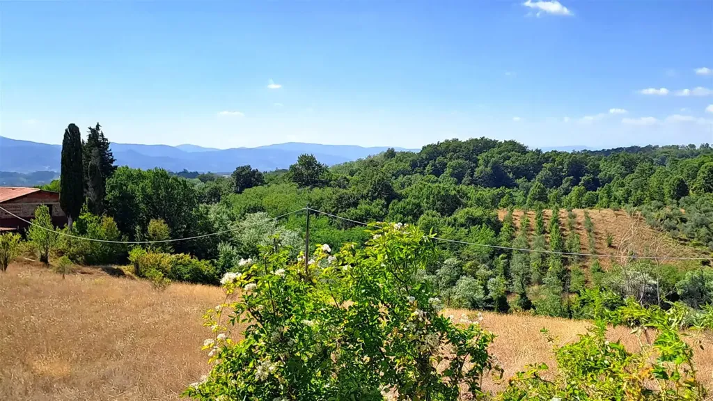 Aed - Rustic Farmhouse with 5000m² Land in Vicchio