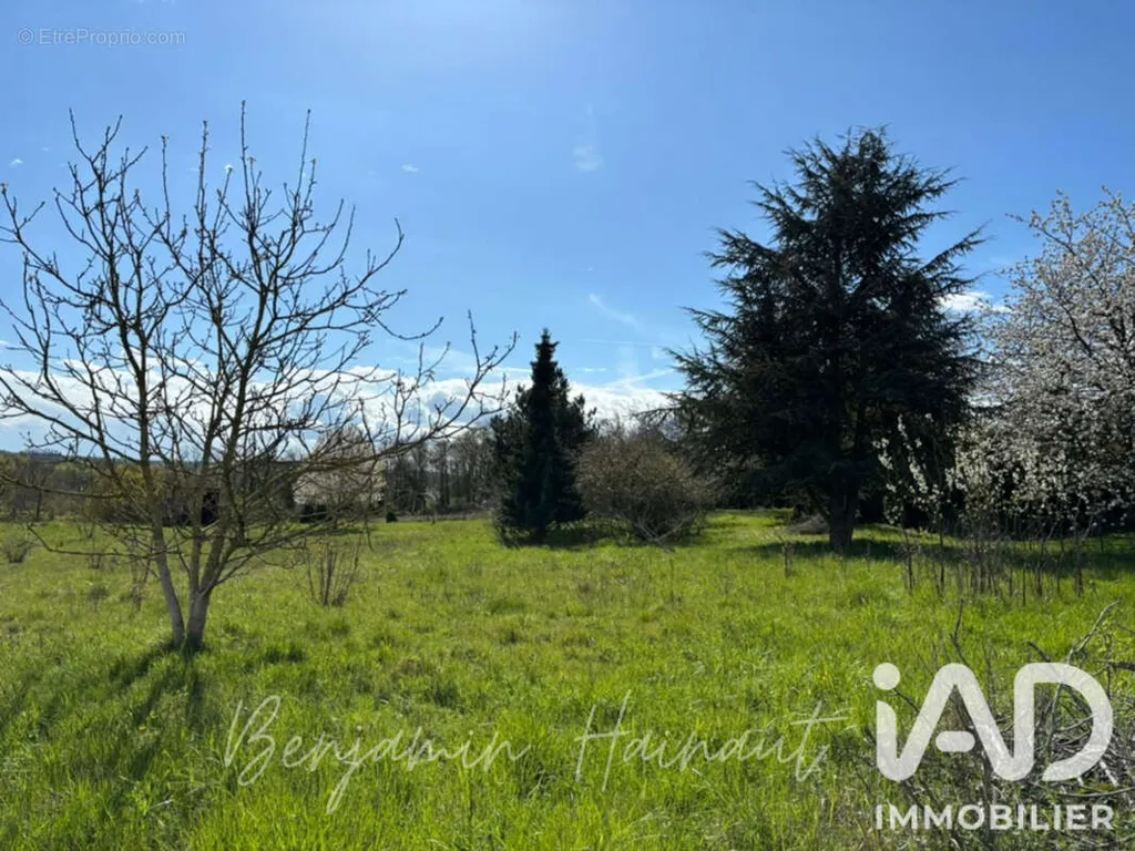 Jardin - Terrain Constructible à Saint-Brice