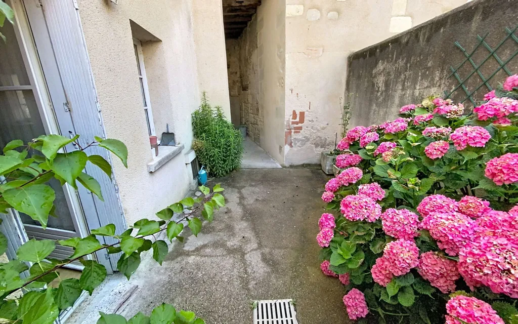 Jardin - Appartement avec Cour Privative au Quartier des Halles à Tours