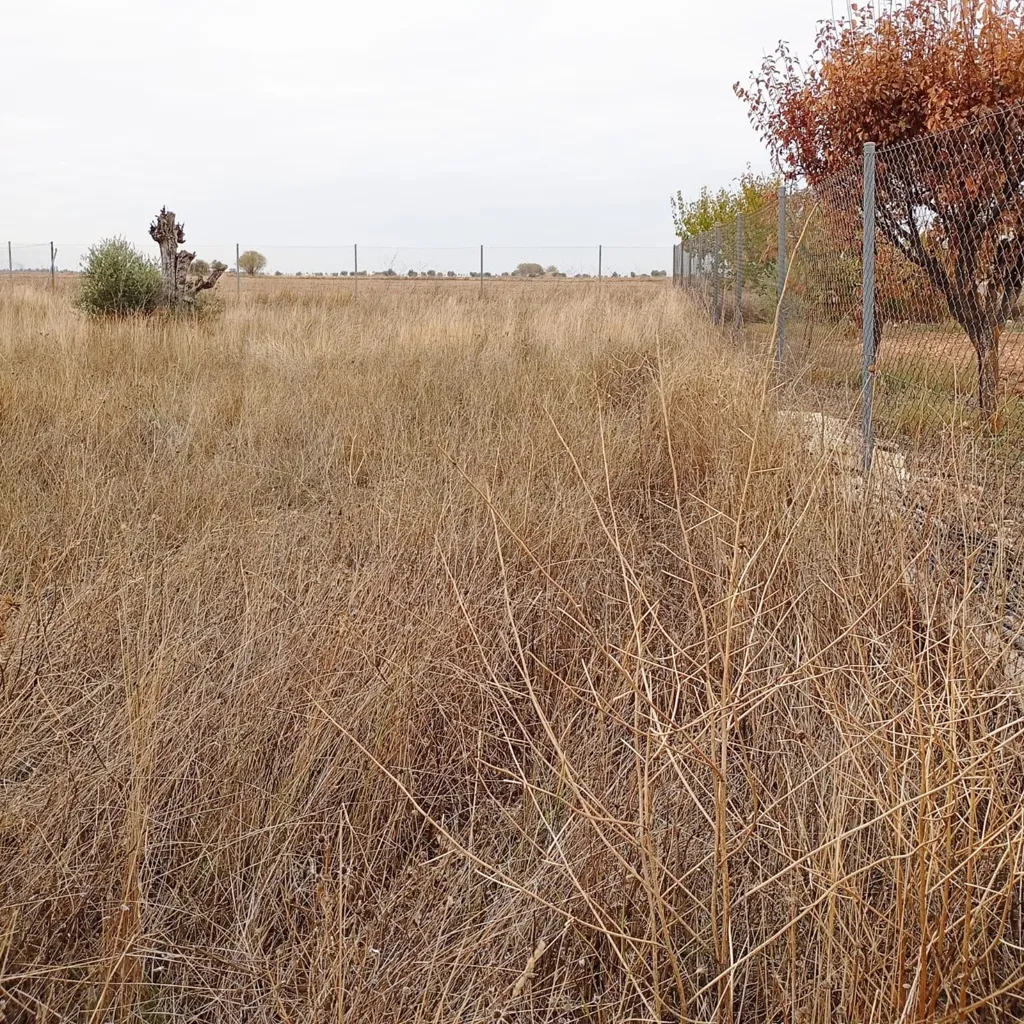 Jardin - Rustic Plot in Tranquil Yepes, Toledo