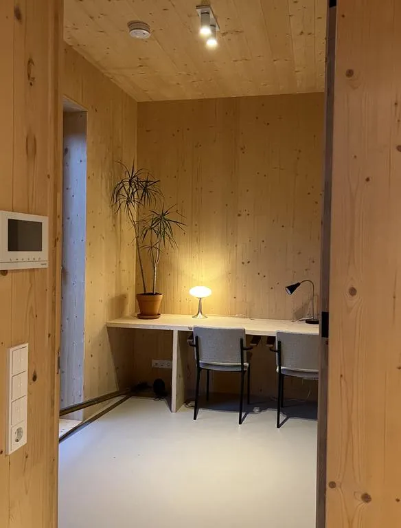 Kabinet - Gloved-in CLT Apartment in Amsterdam North