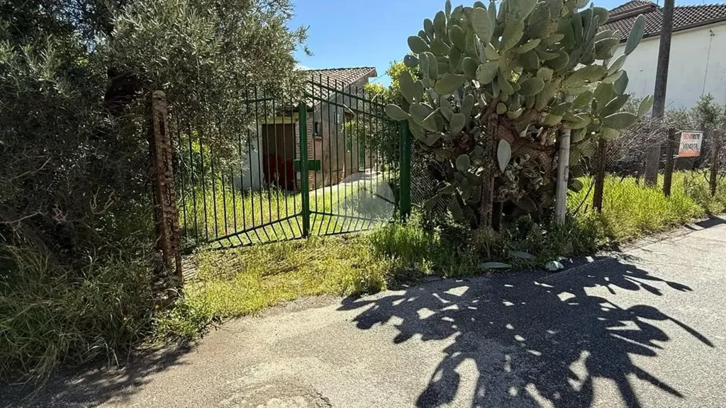 Jardin - Rustic House with Large Garden in Corigliano-Rossano
