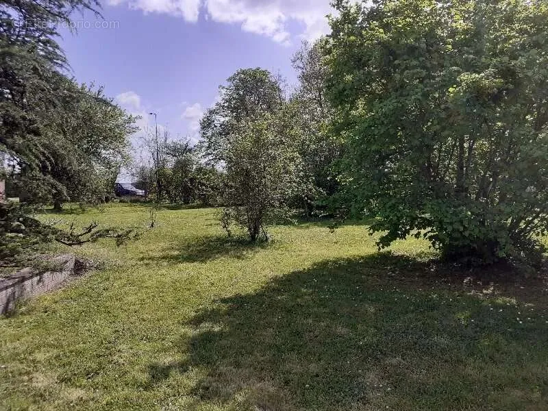 Giardino - Rustic Property with 5,000m² Land in Quiet Village