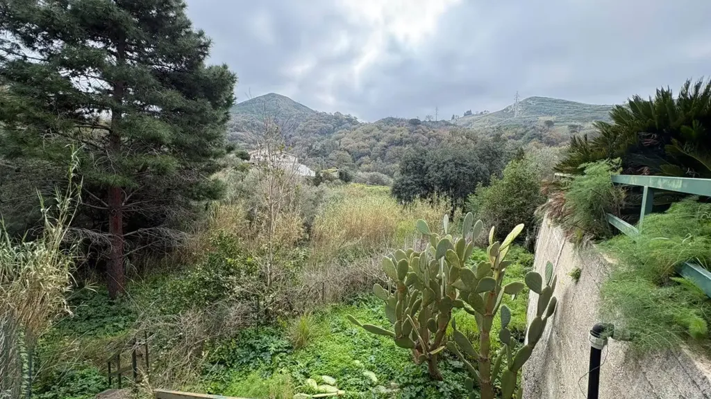 Aed - Independent House with Garden in Messina