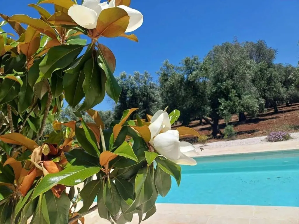 Bassein - Trulli Complex with Pool in Apulia