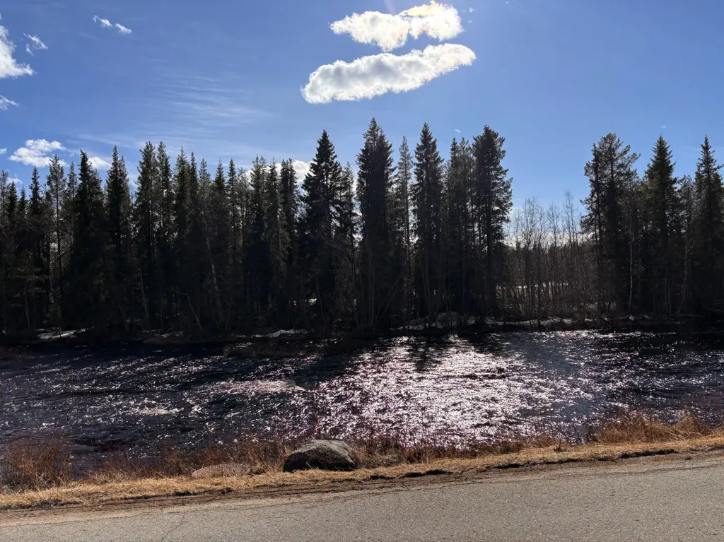 Forest Property with Development Potential in Gällivare
