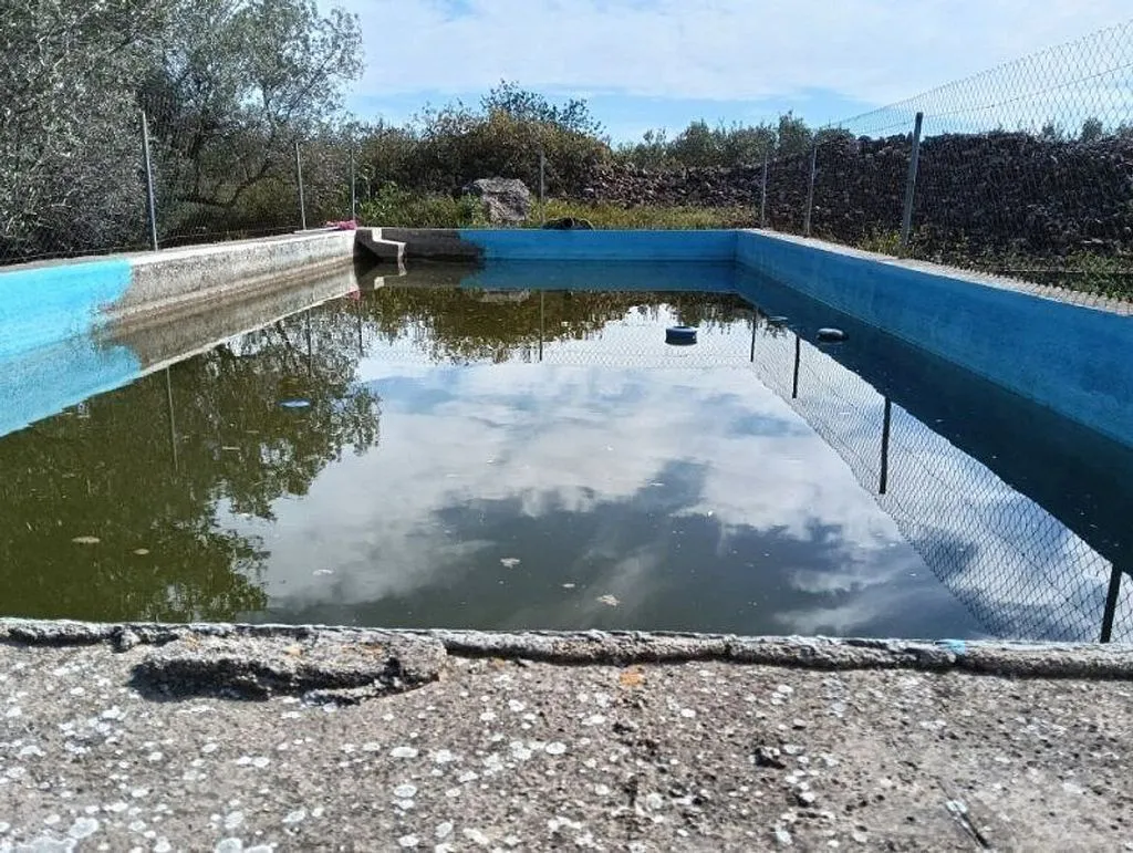 pool_area