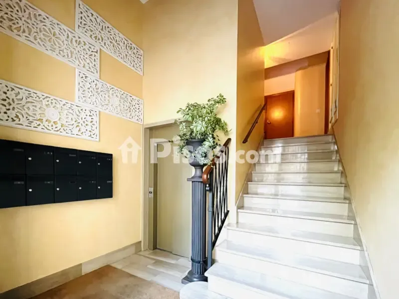 Toad - Historic Flat with Views in Centre