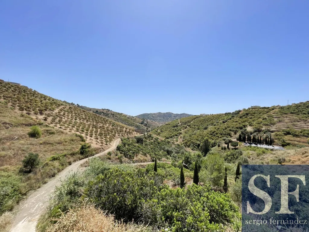 Garden - Villa with Pool and Valley Views in Sayalonga