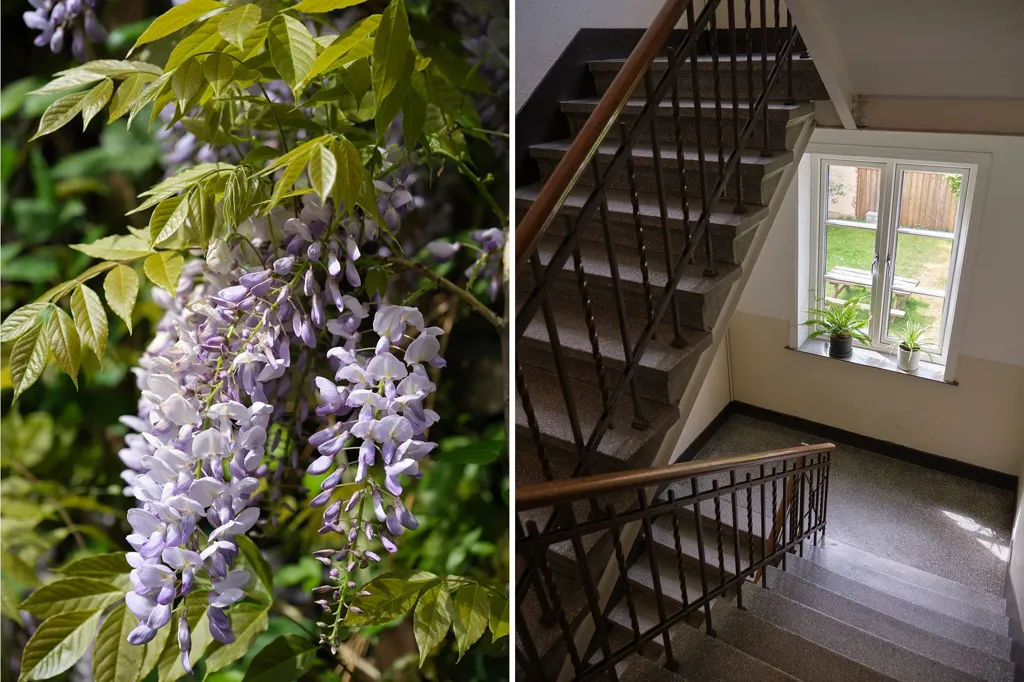Toad - French-Styled Flat with Garden in Möllevången