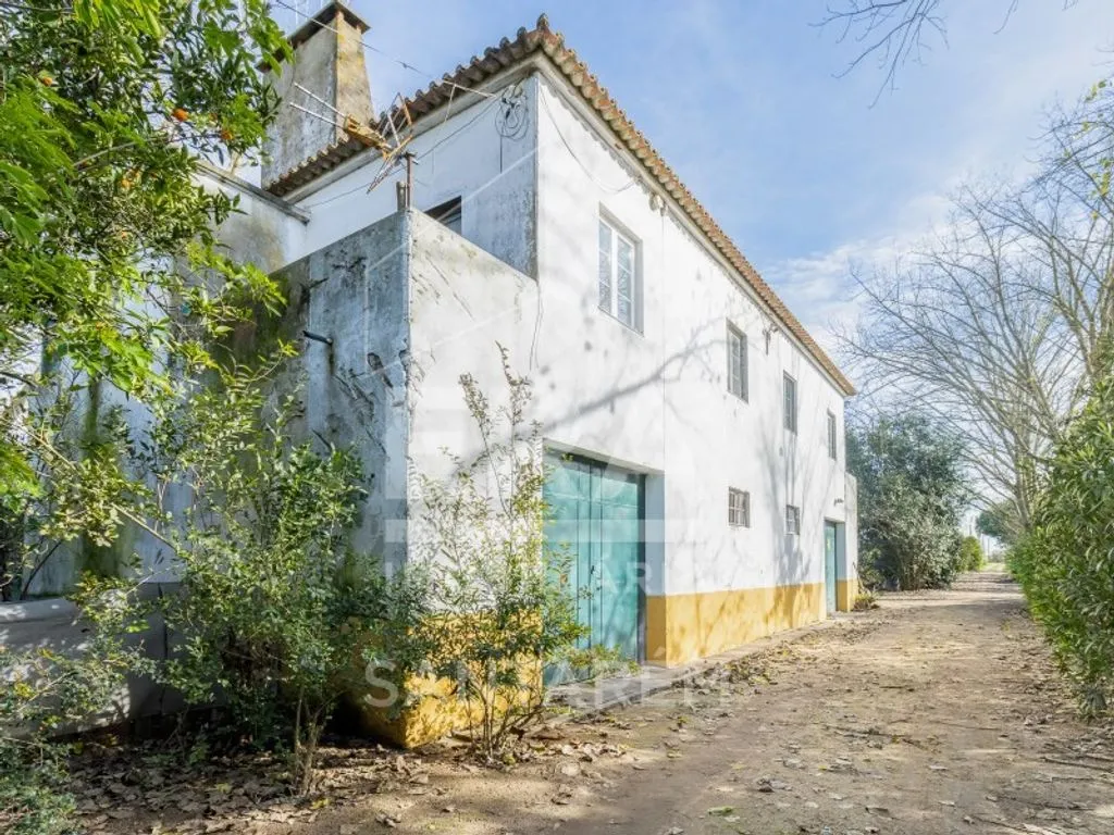 Extérieur - Luxury House with Agricultural Land in Benfica do Ribatejo