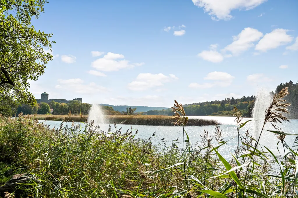 Freehold Plot with Nature View in Skårby