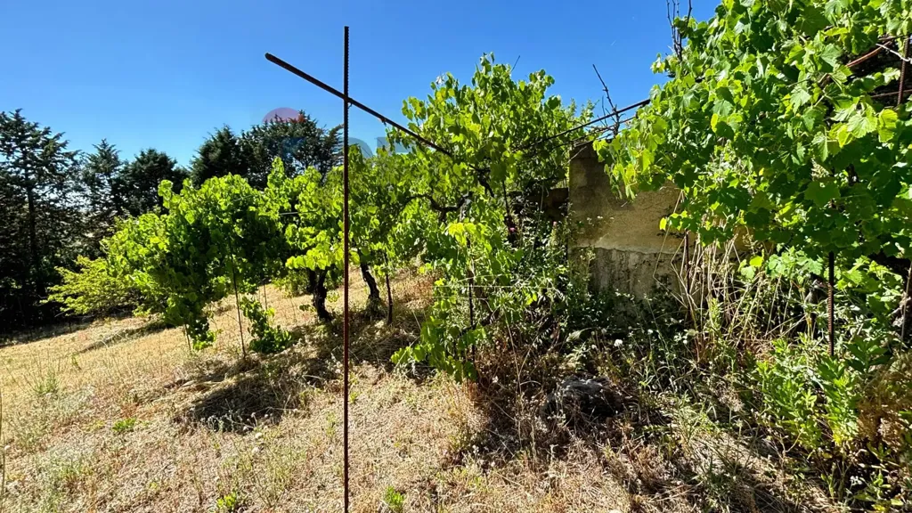Aed - Villa with Olive Grove in Alimena