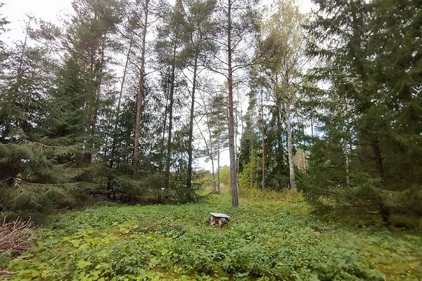 Aed - Country Plot with Forest Access in Koppelmaa
