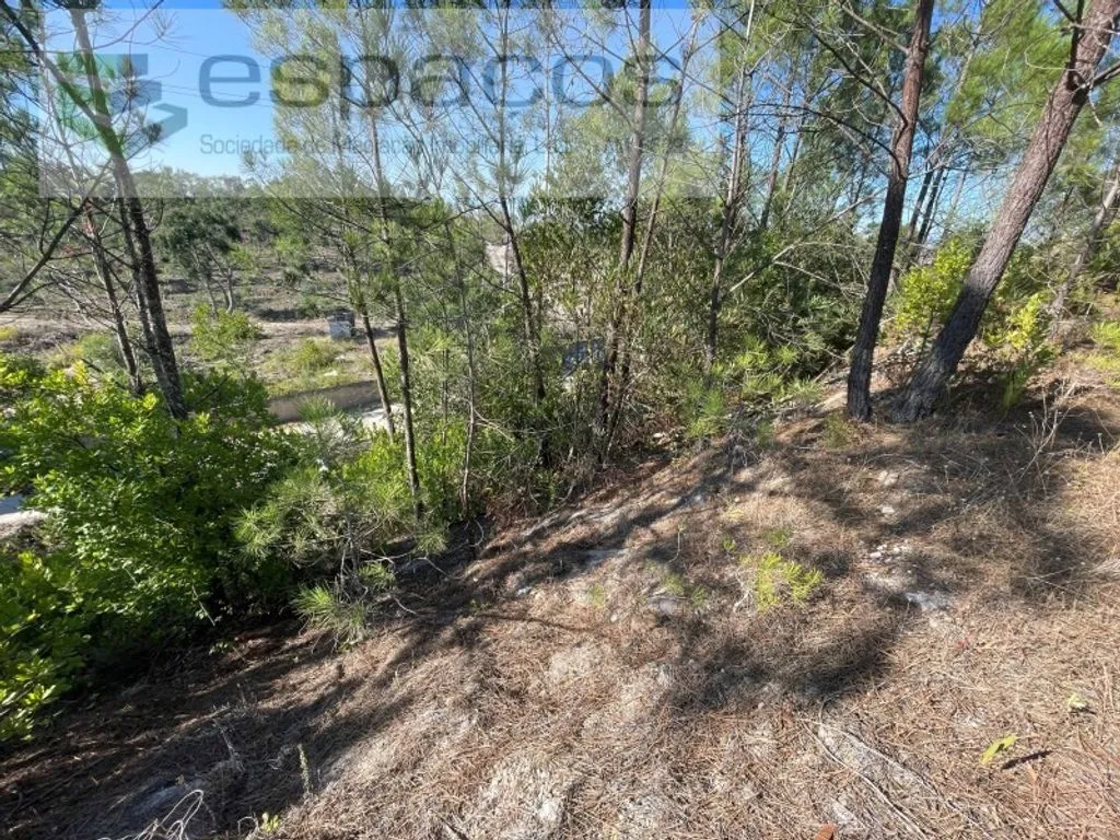 Giardino - Rustic Land with Industrial Potential in Mafra