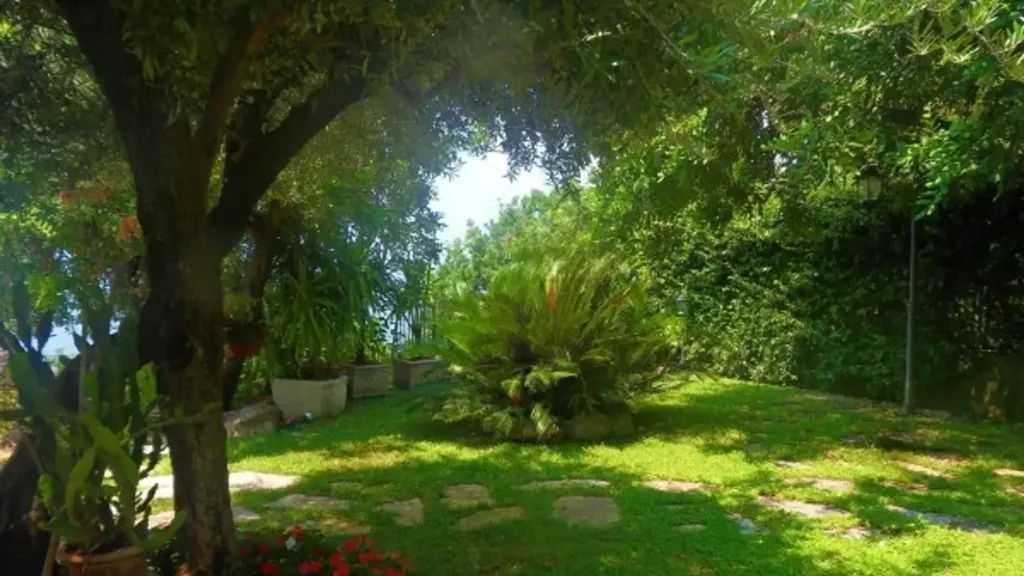 Garden - Villa with Seafront Access in Maratea