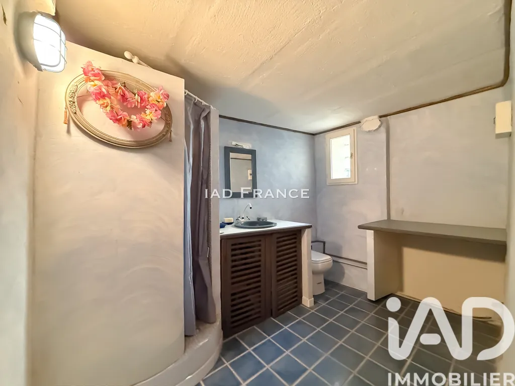 Vannitoad - Charming Village House with Terraces in Peynier